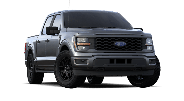 2024 Ford F-150 Vehicle Photo in Terrell, TX 75160